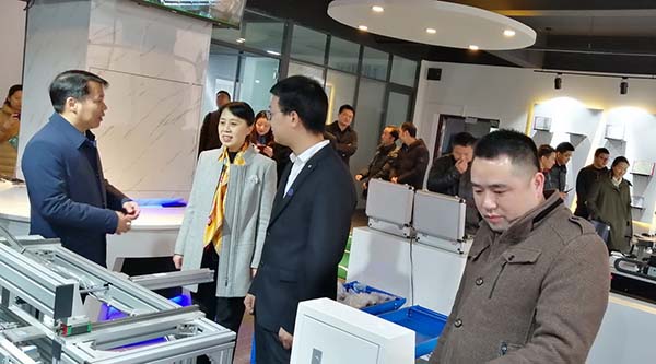 湖北省副省长陈安莉同志莅临指导工作